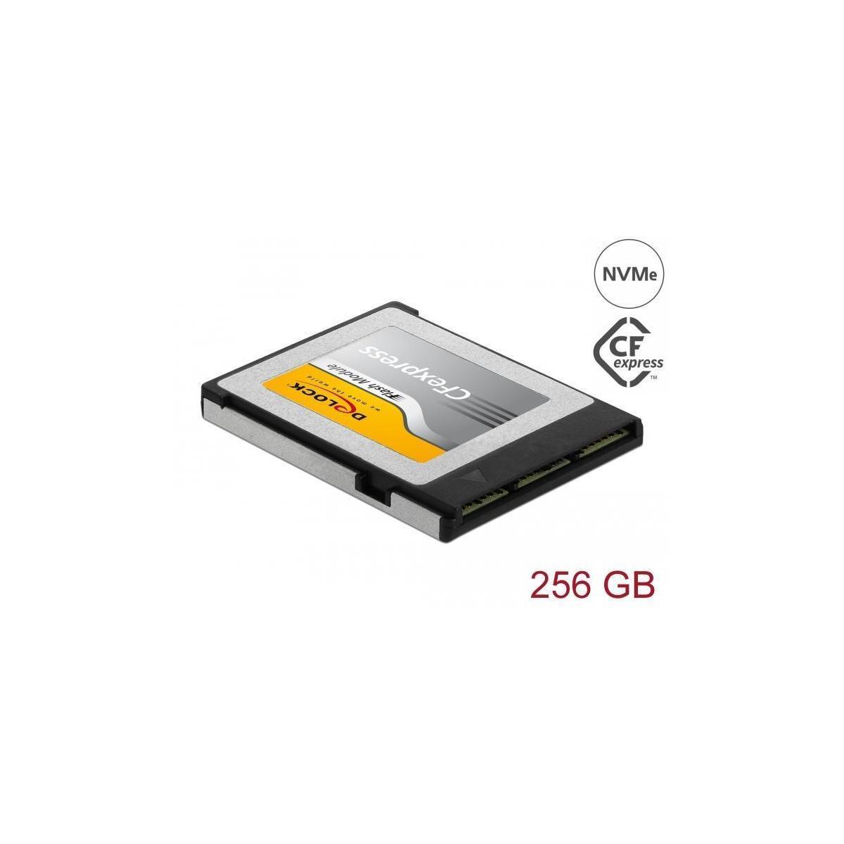Delock 54066 memory card 256 GB (54066)