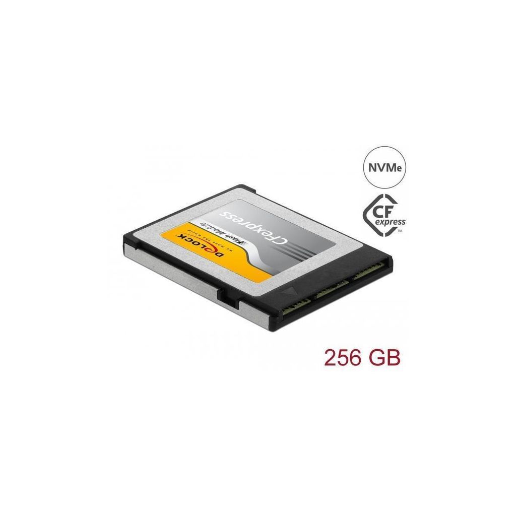 Delock 54066 memory card 256 GB (54066)