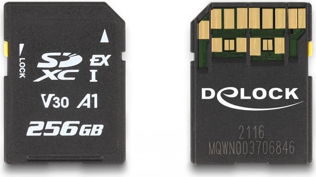 Delock - Flash memory card - 256 GB - video Class V30    UHS-I U3 - SD