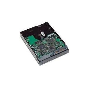 HP - hard drive - 1 TB - internal - 35  (89 cm) - SATA 3GBS - 7200 UMIN - Buffer 32 MB - FOE WORKSTING XW4600.