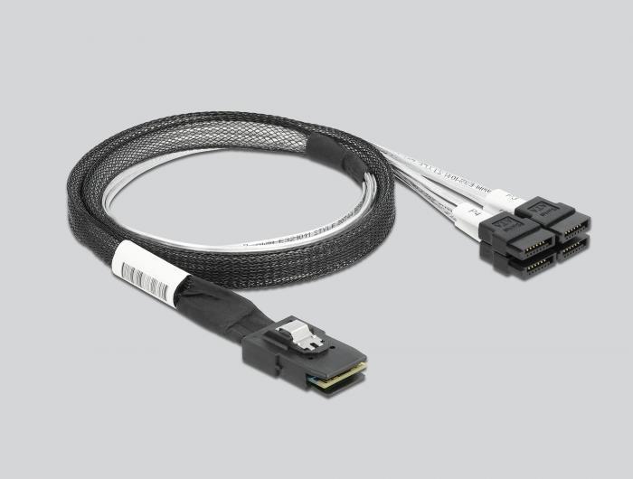 Delock - memory controller (RAID) - 4 transmitter channel - 6GBS low-profiles - 600MBPS - RAID 0. 10 - PCIe 2.0 x4 (89051)