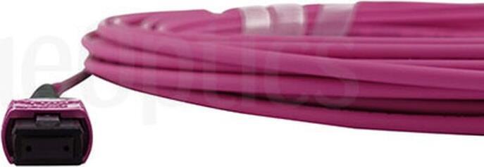 Blueoptics SFP6262FU5MKB fiber optic cable 5 M MTP OM4 rose (SFP6262FU5MKB)
