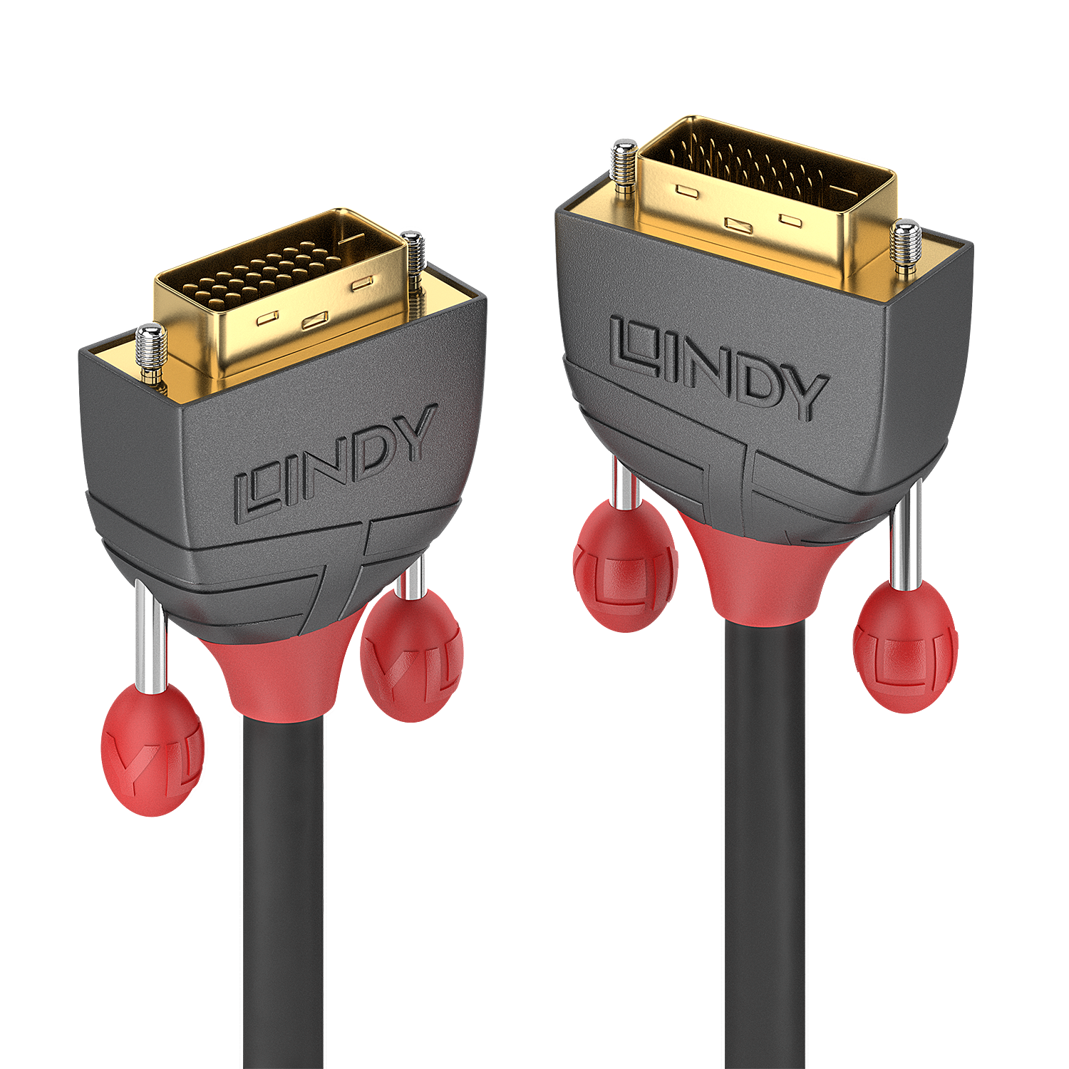 Lindy Anthra Line - DVI cable - Dual Link - DVI-D (m) to DVI-D (m) - 15.0m - round. Thumb screws - black (36227)