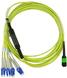Compatible F5 Networks CBL-0206-10 Blueoptics LWL Breakout Patch cable. MtPapc. 4xduplex Lcupc. Meters. Singlemode E9125�. G657A1. 30mm LSZH