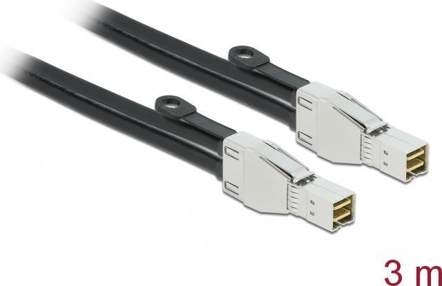 Delock - external SAS cable - 32GBITS - SAS HD (SFF-8674) (m) to mini SAS HD (SFF-8674) (m) - 3