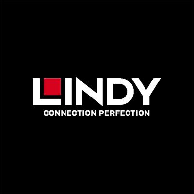 Lindy 120W 10 Port USB charging station for simultaneous charging from to to 10 tablets und or smartphones (73435)