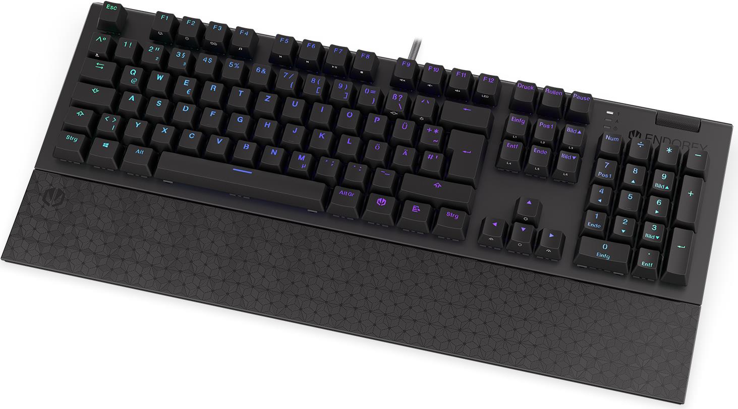 Endorfy Omnis keyboard USB QWERTZ German Schwarz (EY5D027)