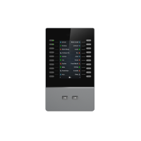 Grandstream GBX20 - Functional Expansion Module for VoIP Telefon (GBX20)