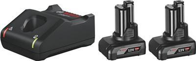 Bosch starter set - battery charger     battery 2 x - Li-ion - 6 AH - 4 A (1600A01B20)