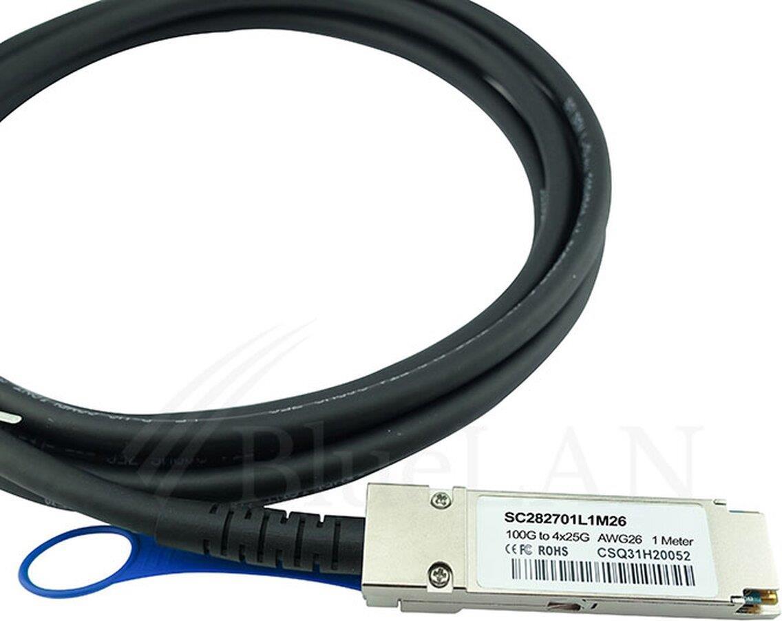 Blueoptics 10424-BL cable number 5 m. 1 QSFP28. 2 QSFP28 weight 250 g. Package weight 260 g (10424-BL)