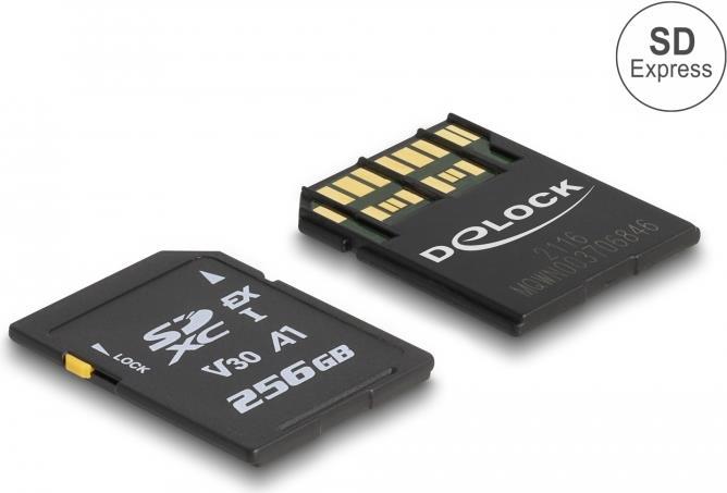 Delock - Flash memory card - 256 GB - video Class V30    UHS-I U3 - SD