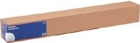 EPSON - photo paper. Great - roll (60 cm 30.5 m) - 250 GM2 - 1 roll (n) (C13S041893))