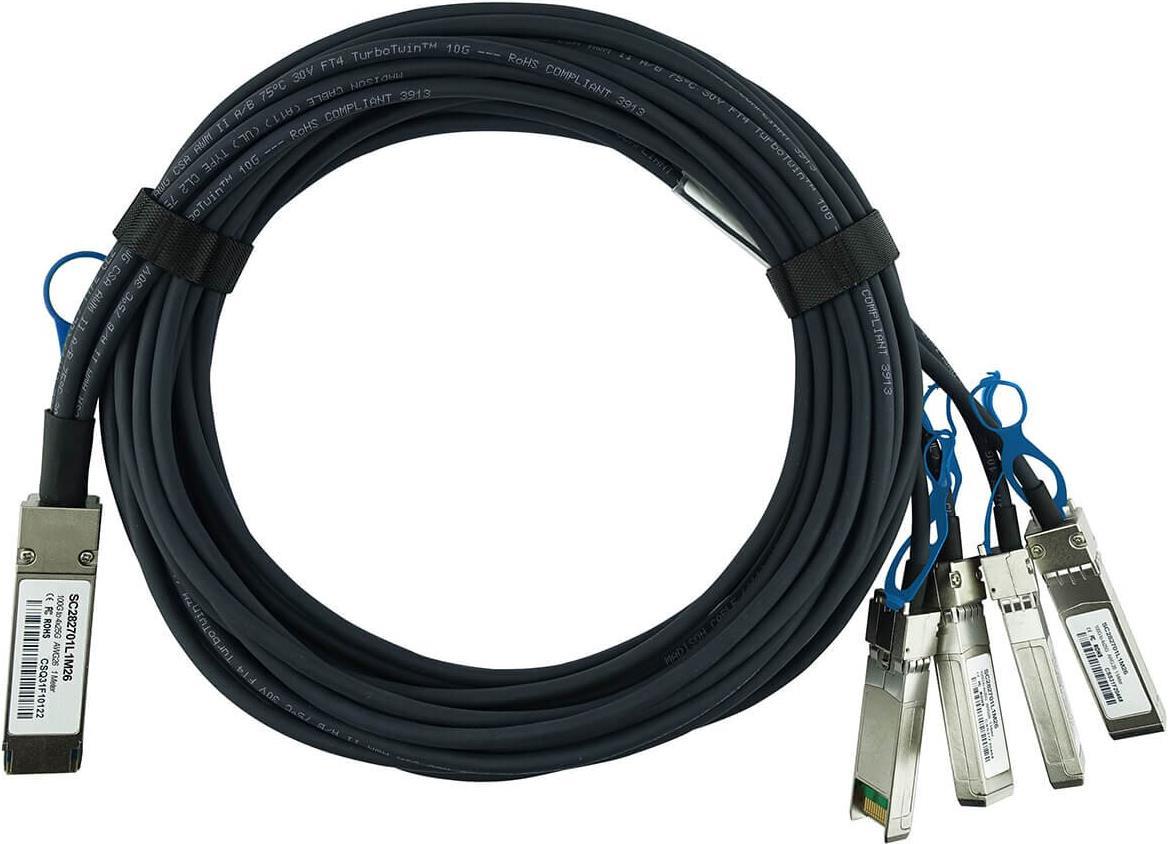 Blueoptics 10424-BL cable number 5 m. 1 QSFP28. 2 QSFP28 weight 250 g. Package weight 260 g (10424-BL)